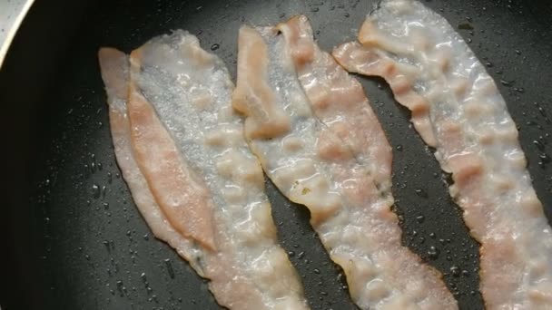 Três fatias de bacon fresco fritam-se na gordura na panela — Vídeo de Stock
