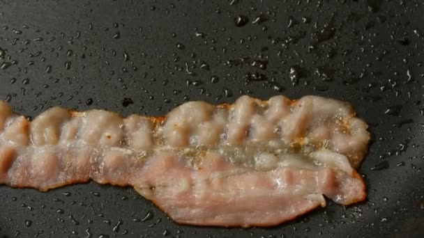 En tunn bit bacon steks i solrosolja i den varma stekpannan med non-stick beläggning närbild — Stockvideo