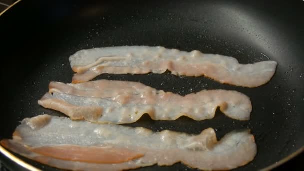 Tre skivor färsk bacon steks i fett i pannan — Stockvideo