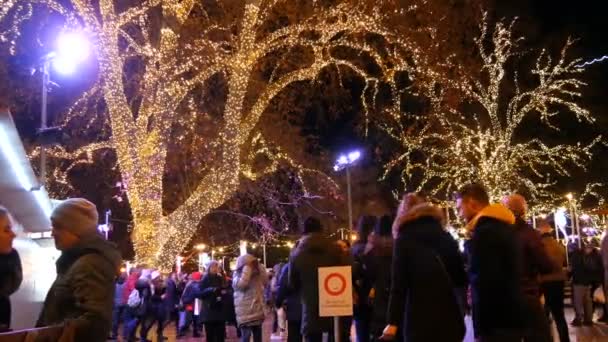 Wien, Österrike - 21 december 2019: Julmarknad framför stadshuset. Festligt inredda torget med kransar nära vilka turister och lokalbefolkningen gå. Stall med olika mat och saker — Stockvideo