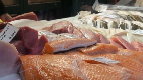 Vitrine des Fischgeschäfts. riesige Stücke roter Fische im Eis. Lachsfilet und andere Meeresfische zum Verkauf — Stockvideo