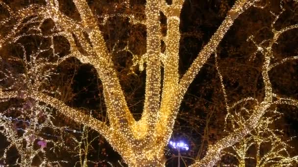 Huge old tree is fabulously decorated with garlands at Christmas market in Vienna, Austria. Blurred view of tree garland beautifully and twinkles with Golden colored lights at night decorations — Stock Video