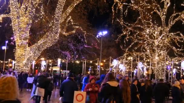 Viyana, Avusturya - 21 Aralık 2019: Belediye binasının önündeki Noel pazarı. Çelenklerle süslenmiş kocaman bir ağaçla süslü bir meydan. Gece bir turist kalabalığı yürür — Stok video