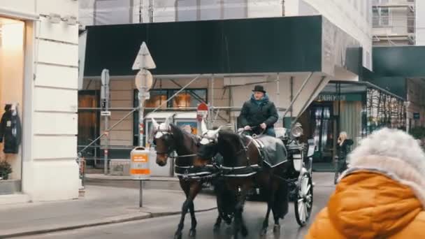 Wien, Österrike - 20 december 2019: Vackra vita och svarta hästdragna vagnar och en långfärdsbuss. Ridning vintage häst vagn. Hästdragna vagnar som transporterar turister — Stockvideo