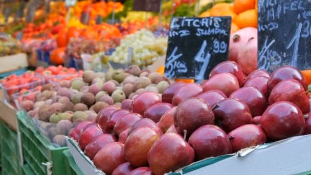 Ön planda büyük kırmızı elmalar ve egzotik meyveler var. Büyük bir şehirde sebze pazarı. Çok çeşitli sebze ve meyve çeşitleri var. Tezgahta sağlıklı taze organik vegan yiyecekler var. Fiyat etiketleri Almanca — Stok video
