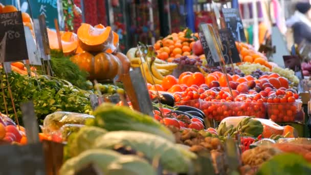 Mercato delle verdure in una grande città. Ampia selezione di varie verdure e frutta. Sano cibo vegano biologico fresco sul bancone. Prezzi in tedesco . — Video Stock