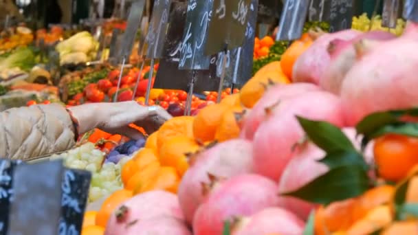 Hand einer alten Frau pflückt Trauben. Gemüsemarkt in einer Großstadt. riesige Auswahl an verschiedenen Gemüse- und Obstsorten. gesunde, frische vegane Bio-Lebensmittel auf der Theke. Preisschilder auf Deutsch. — Stockvideo