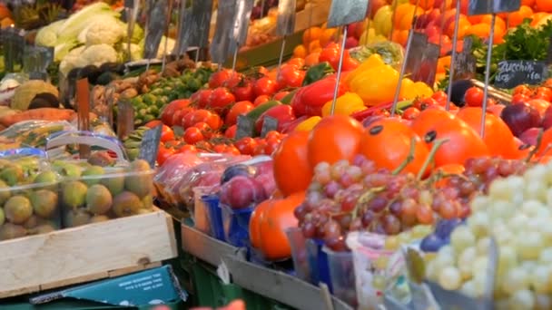 大都市の野菜市場。様々な野菜や果物の膨大な選択。カウンターで健康的な新鮮な有機ビーガンフード.ドイツ語で値札を付ける. — ストック動画