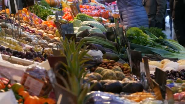 Kupujący kupują produkty. Targ warzywny w dużym mieście. Ogromny wybór różnych warzyw i owoców. Zdrowe świeże organiczne wegańskie jedzenie na ladzie. Znaczniki cen w języku niemieckim. — Wideo stockowe