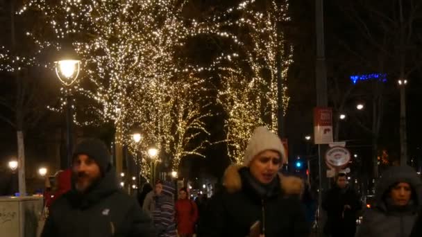 Bécs, Ausztria - 2019. december 21.: Karácsonyi vásár a városháza előtt. Ünnepélyesen díszített tér koszorúkkal, amelyek közelében a turisták és a helyiek sétálnak. Sztályog különböző ételekkel és dolgokkal — Stock videók