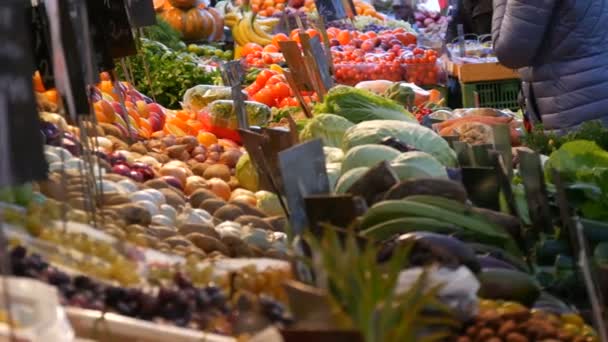 Los compradores compran productos. Mercado de verduras en una gran ciudad. Enorme selección de varias verduras y frutas. Comida vegetariana orgánica fresca saludable en el mostrador. Etiquetas de precios en alemán . — Vídeos de Stock