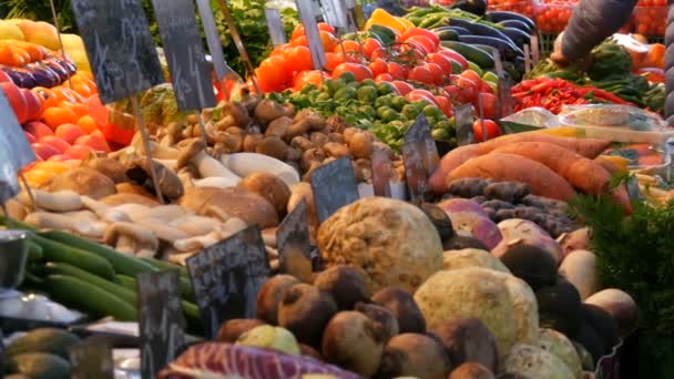 Η γυναίκα διαλέγει πράσινα. Αγορά λαχανικών σε μια μεγάλη πόλη. Τεράστια ποικιλία από διάφορα λαχανικά και φρούτα. Υγιή φρέσκα βιολογικά vegan τροφίμων στον πάγκο. Τιμές στα Γερμανικά. — Αρχείο Βίντεο