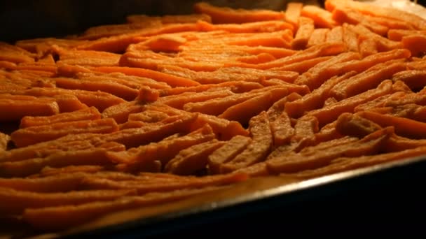 Pommes frites im heimischen Ofen gebraten — Stockvideo