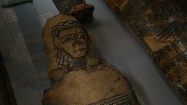Vídeň, Rakousko - 19. prosince 2019: Uvnitř Muzea dějin umění. Oddělení dějin starověkého Egypta. Skutečné sarkofágy a mumie stojí v řadě v muzeu — Stock video