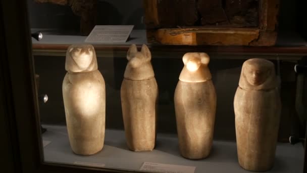 Vienna, Austria - December 19, 2019: Inside the Museum of the History of Art. Department of the History of Ancient Egypt. Authentic urns for internal organs of mummies stand in a row at the museum — 비디오