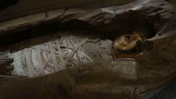 Wenen, Oostenrijk - 19 december 2019: Binnen in het Museum voor Kunstgeschiedenis. Afdeling Geschiedenis van het Oude Egypte. Echte sarcofagen en mummies staan op rij in het museum — Stockvideo