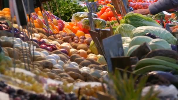 Mercado de verduras y frutas con una gran variedad de frutas diversas. Comida Vegetariana Saludable. Mercado de verduras en la gran ciudad. Comida vegetariana orgánica fresca saludable en el mostrador. Etiquetas de precios en alemán . — Vídeo de stock