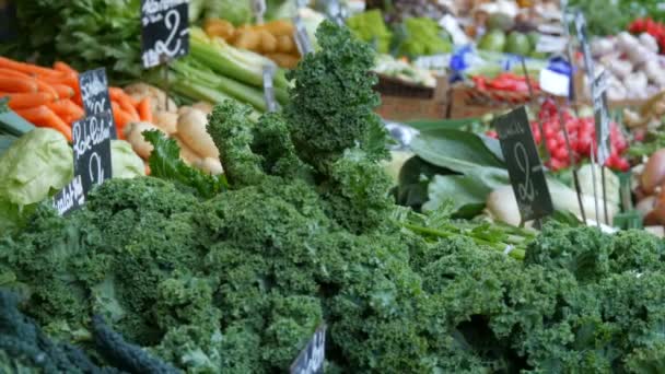 Verduras frescas en el mercado de verduras y frutas con una gran variedad de frutas diversas. Comida Vegetariana Saludable. Etiquetas de precios en alemán — Vídeo de stock