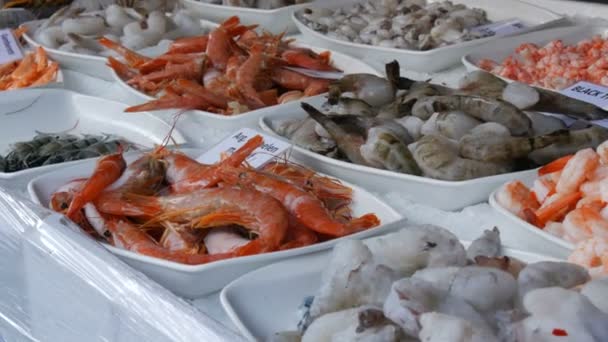 Diverse zeevruchten op de toonbank van de supermarkt. Een verscheidenheid aan garnalen, octopussen, kreeften met prijskaartjes in het Duits — Stockvideo