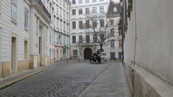 Viena, Austria - 19 de diciembre de 2019: Hermosos caballos vestidos elegantes. Carruajes tradicionales de dos caballos en la calle . — Vídeo de stock