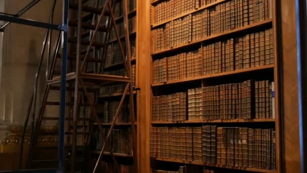 Very old vintage books on shelves in an ancient library. Big collection of old uncognizable books — 비디오