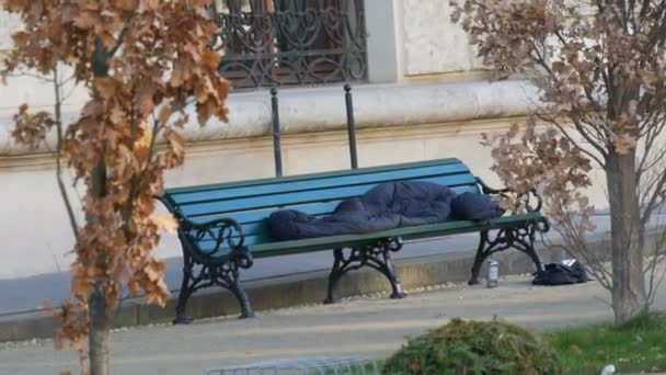 Viena, Austria - 20 de diciembre de 2019: Las personas sin hogar pobres en un saco de dormir se encuentran en un banco en el parque de otoño sobre un fondo de hojas amarillas en un árbol — Vídeos de Stock