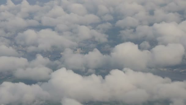 L'avion survole les villes néerlandaises, les champs verts de tulipes multicolores. Hollande d'en haut dans les nuages — Video