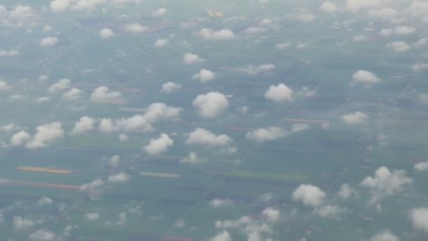 Het vliegtuig vliegt over de Nederlandse steden, de groene velden van veelkleurige tulpen. Holland van boven in wolken — Stockvideo