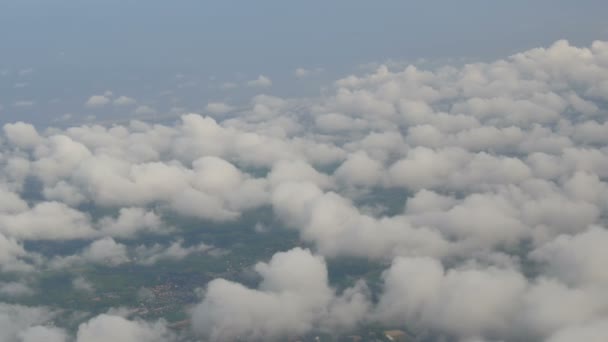 L'avion survole les villes néerlandaises, les champs verts de tulipes multicolores. Hollande d'en haut dans les nuages — Video