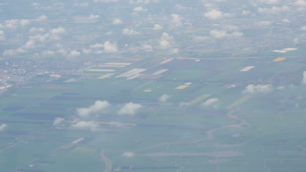 Het vliegtuig vliegt over de Nederlandse steden, de groene velden van veelkleurige tulpen. Holland van boven in wolken — Stockvideo