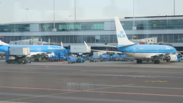 Amsterdam, Paesi Bassi - 26 aprile 2019: Uno dei più grandi aeroporti del mondo, Schiphol, vista degli aerei KLM delle compagnie aeree dalla finestra del terminal — Video Stock