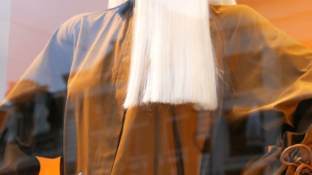 Partie d'un mannequin de femme avec une longue oreille blanche. Imbécile à la vitrine. Beaux, chers, vêtements à la mode sont présentés sur une vitrine de boutique — Video