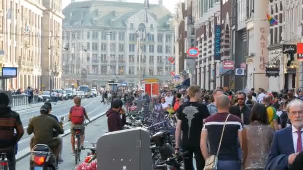 Amsterdam, Paesi Bassi - 21 aprile 2019: Una folla di persone che cammina lungo la strada principale di Amsterdam dalla stazione ferroviaria a Piazza Dam — Video Stock