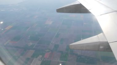 Uçak Hollanda'da çok renkli lale güzel alanları üzerinde uçar, porthole görünümü. Hollanda'nın lale tarlaları üzerinde uçuş uçak kanadı