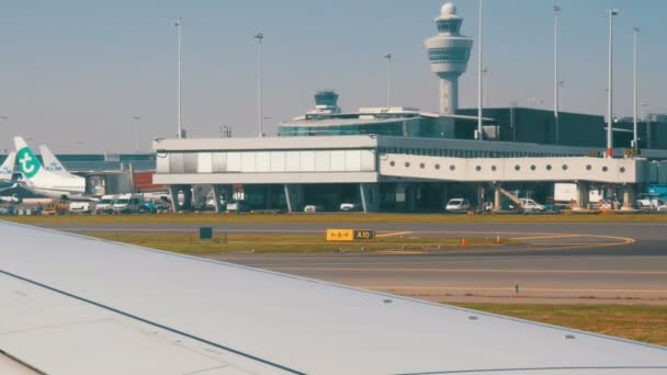 アムステルダム、オランダ - 2019年4月21日:飛行機は、世界最大の空港の一つ、スキポールに着陸します。他の多くの航空機は、ターミナルの近くに位置しています — ストック動画