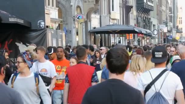 Ámsterdam, Países Bajos - 21 de abril de 2019: Una multitud de personas caminando por la calle principal de Ámsterdam desde la estación de tren hasta la plaza Dam — Vídeos de Stock