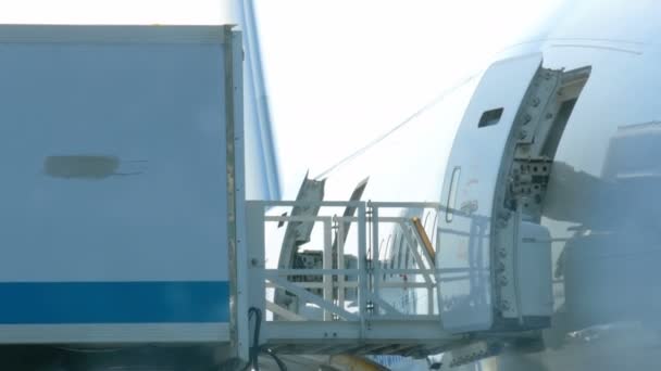 Borispol, Ucrânia - 21 de abril de 2019: O avião no aeroporto é descarregado após o voo. Avião na pista para se preparar para a partida. Preparação da aeronave. Manutenção de aeronaves antes da partida . — Vídeo de Stock