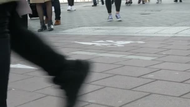 Amsterdam, Belanda - 24 April 2019: Kaki para pejalan kaki dan sepeda bergerak di sepanjang jalan utama kota — Stok Video