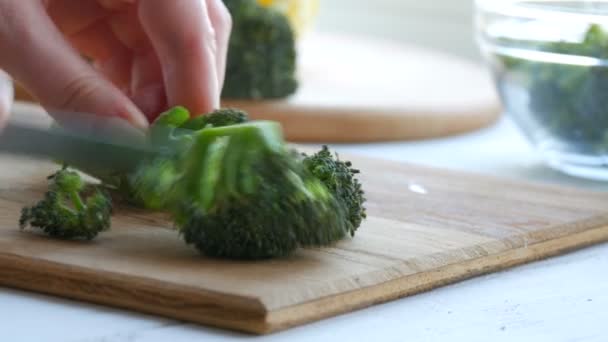 Kvinnliga händer skära med en kniv färsk grön broccoli kål på ett kök styrelse. Koka grönsaker med kniv. Vegansk mat. — Stockvideo