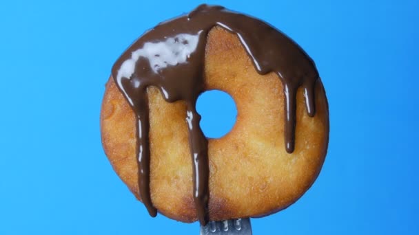 Grande donut redondo em um garfo no qual o esmalte de cobertura de chocolate e o pó azul giram em um fundo azul — Vídeo de Stock