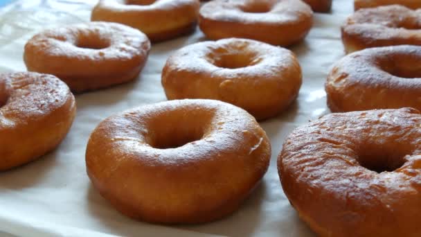 Свіжообсмажені великі круглі пончики на столі на домашній кухні. Пончики без глазурі та порошку — стокове відео