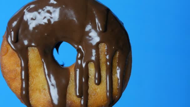Большой круглый пончик на вилке, на которой шоколадная глазурь и синий порошок вращаются на голубом фоне — стоковое видео