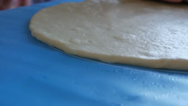 Les mains féminines déroulent la pâte avec un rouleau à pâtisserie sur un tapis spécial en silicone pour pétrir la pâte. Technologie moderne dans la cuisine — Video
