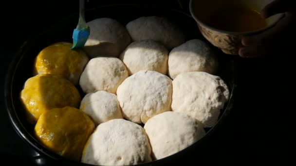 Hembakat på en plåt, smörjer en kvinnlig bagare bollarna från degen med äggula. Speciell kökssilikon borste för smörjdeg. Ukrainska inhemska dumplings — Stockvideo