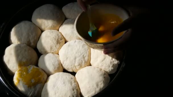 Domowej roboty pieczenia na blasze do pieczenia, kobieta piekarz smaruje kulki z ciasta z żółtka jaj. Specjalna szczotka silikonowa do smarowania ciasta. Ukraińskie pierogi domowe — Wideo stockowe