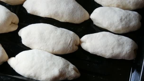 Pasteles caseros masa cruda en una bandeja especial para hornear de metal en un estilo rústico. La masa en forma se encuentra listo para el horno en una fila — Vídeos de Stock