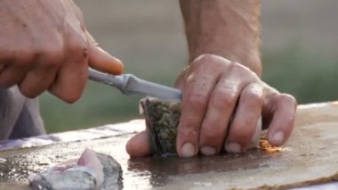 Balıkçının güçlü elleri taze canlı yakalanan balıkları temizler. Masada küçük bir bıçakla büyük tatlı su haçbalığı keser. Doğanın güzel manzaralı günbatımında.