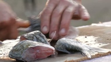 Balıkçının güçlü elleri taze canlı yakalanan balıkları temizler. Masada küçük bir bıçakla büyük tatlı su haçbalığı keser. Doğanın güzel manzaralı günbatımında.