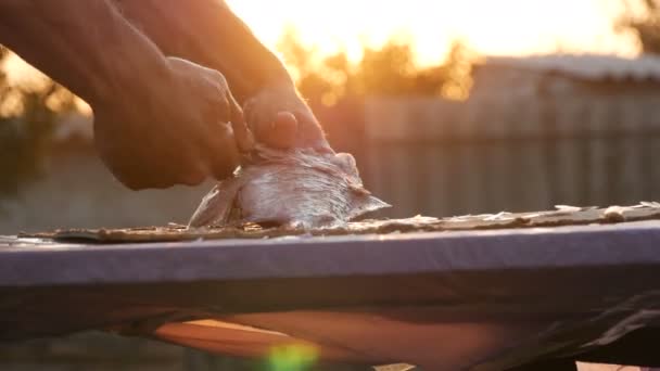 Maschio mani forti di un pescatore pulisce pesce vivo appena pescato da squame in un bel tramonto panoramico sulla natura — Video Stock