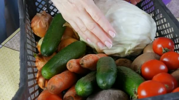 Weibliche Hände nehmen Kohl. Box mit Gemüse Kartoffeln Rüben Gurken Kirschtomaten Kohlzwiebeln aus nächster Nähe. Essenslieferdienste während der Coronavirus-Pandemie und Distanzierung. Online einkaufen. — Stockvideo